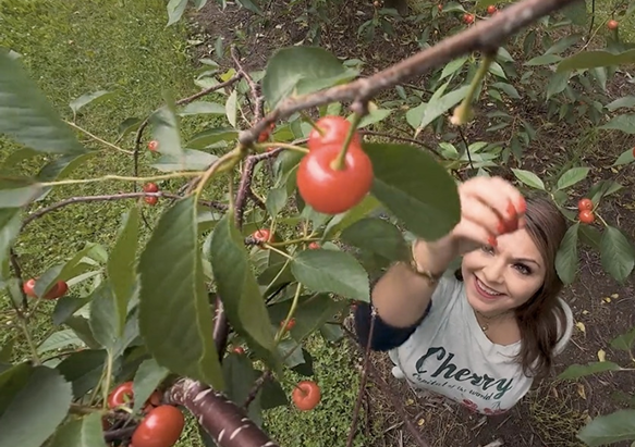 Bountiful Media Brands Image